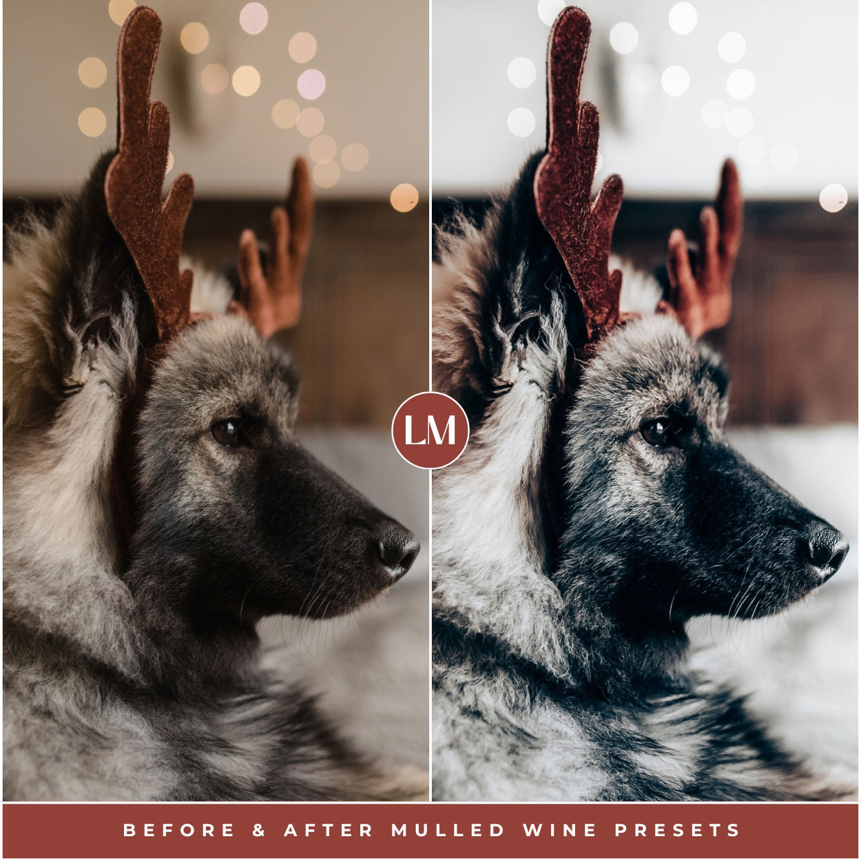 Mulled Wine Lightroom Presets For Best Christmas And Winter Photo Editing In Adobe Lightroom By Lou And Marks Presets Best