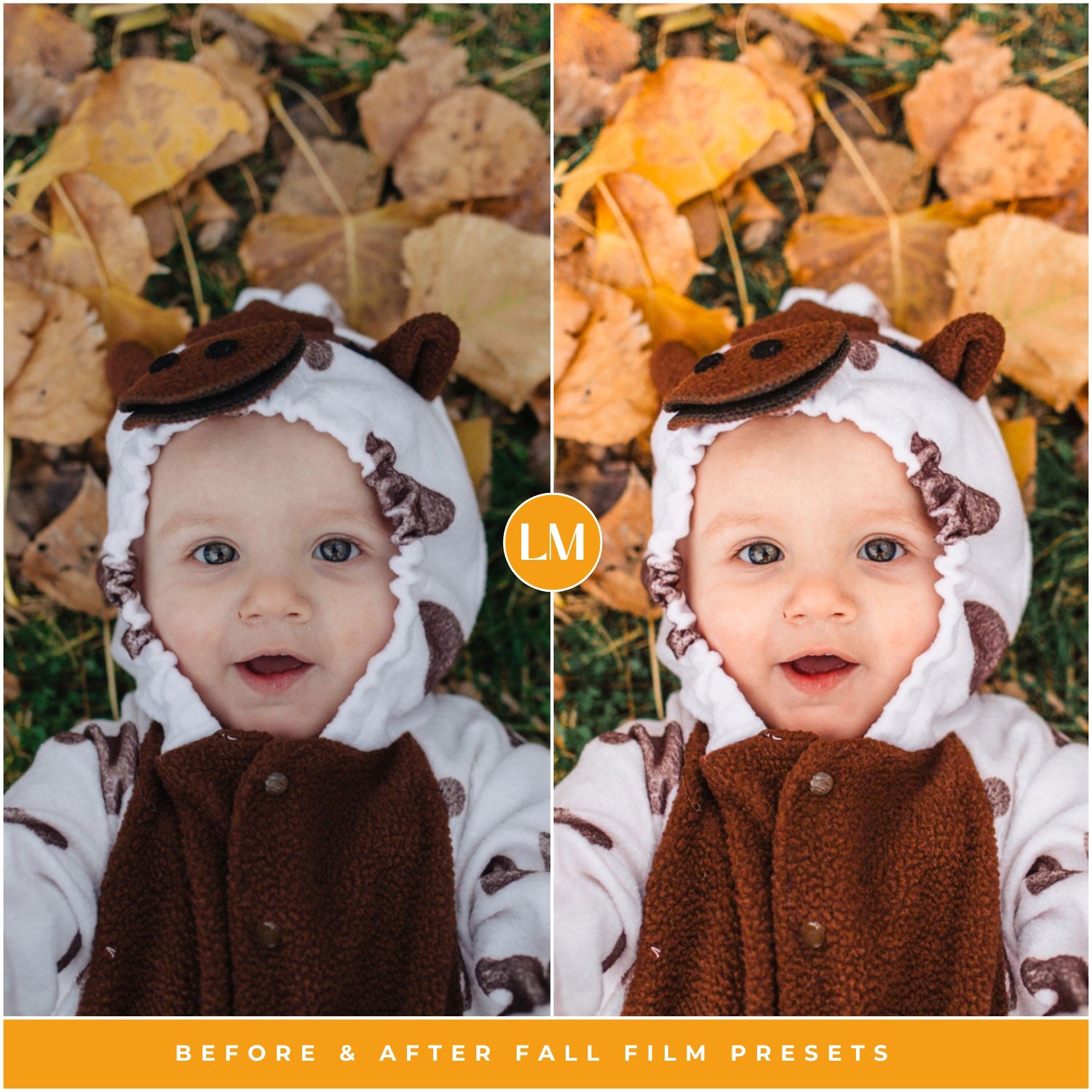 Fall Film Lightroom Presets by Lou and Marks Presets