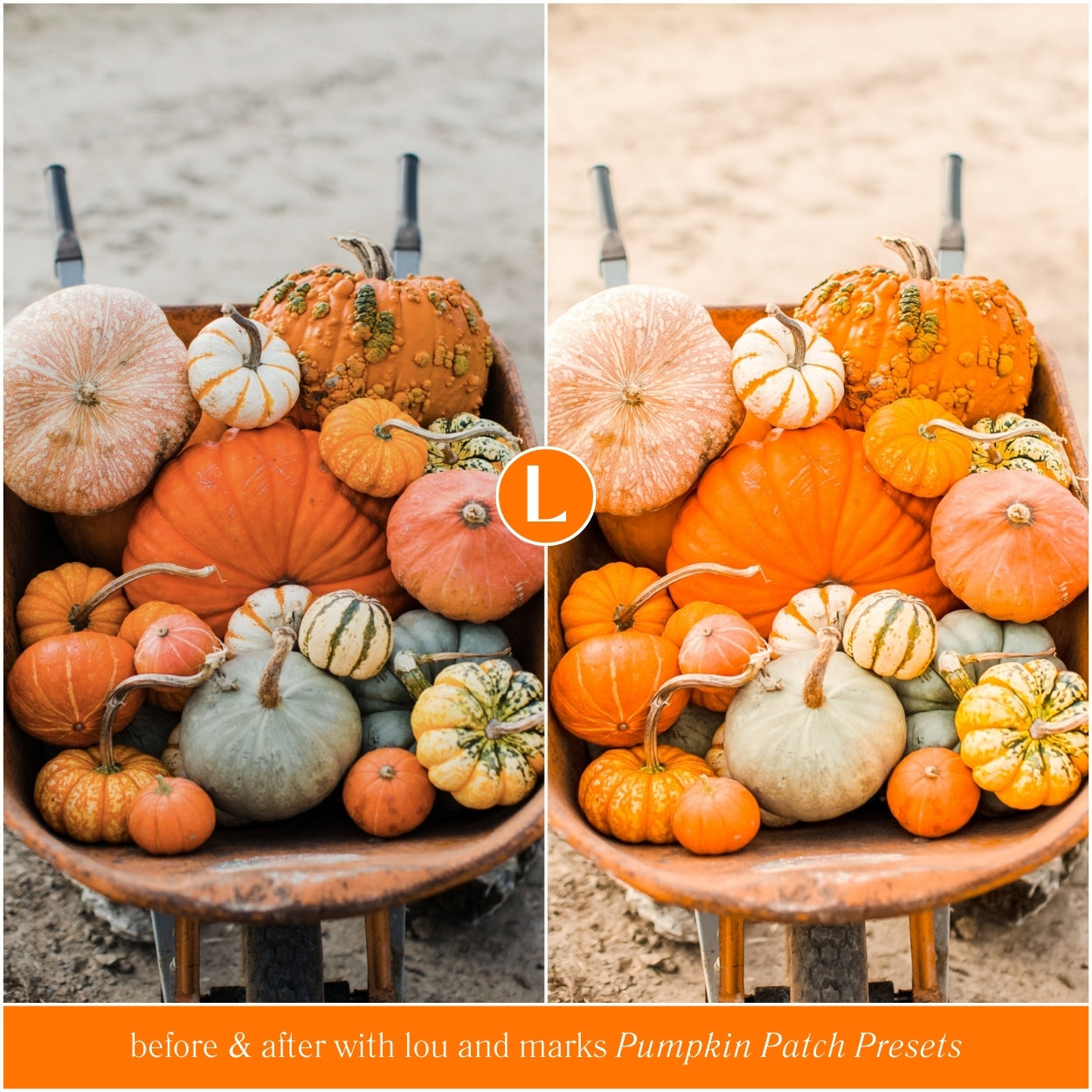 Fall Pumpkin Patch Lightroom Presets By Lou And Marks Presets