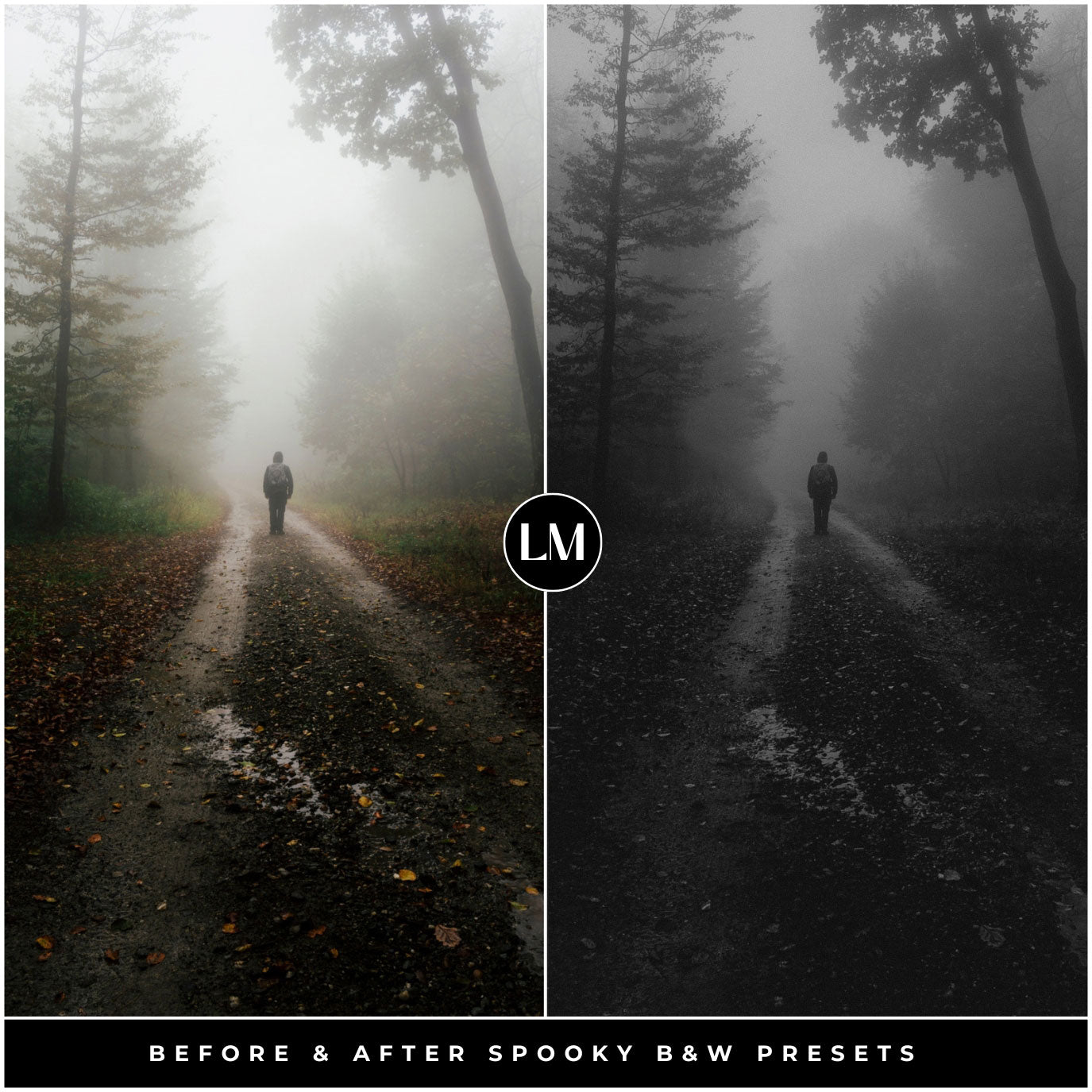 Spooky Black And White Lightroom Presets By Lou And Marks Presets