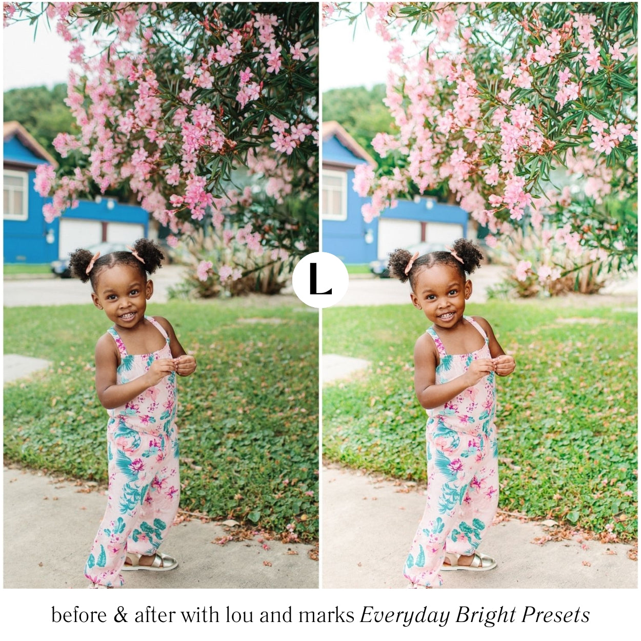 Everyday Lightroom Presets by Lou and Marks Presets