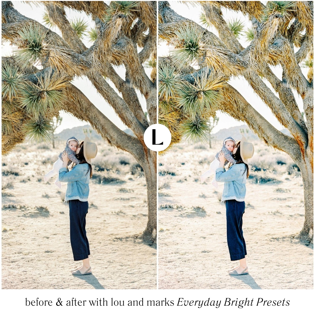 Everyday Lightroom Presets by Lou and Marks Presets