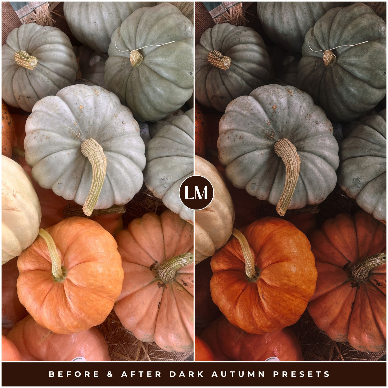 Dark Autumn Lightroom Presets By Lou And Marks Presets