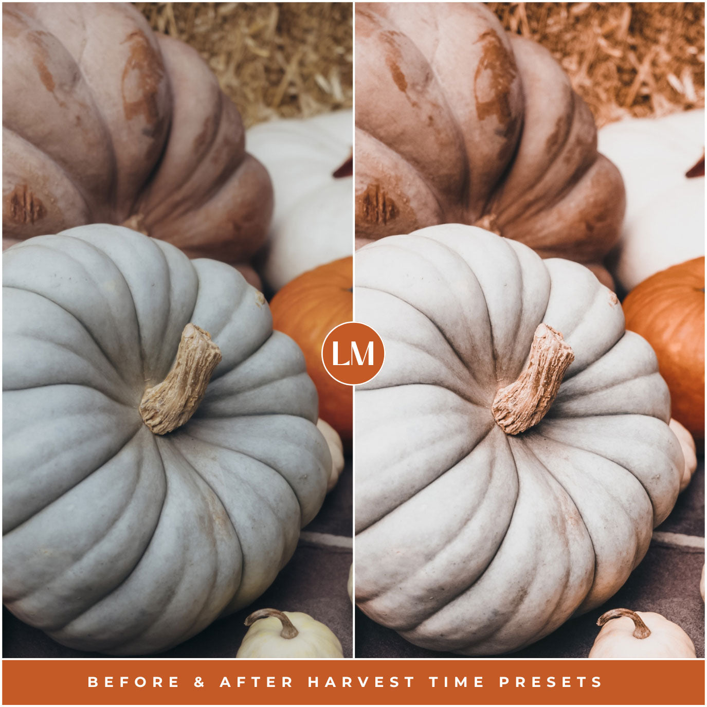 Harvest Time Lightroom Presets By Lou And Marks Presets