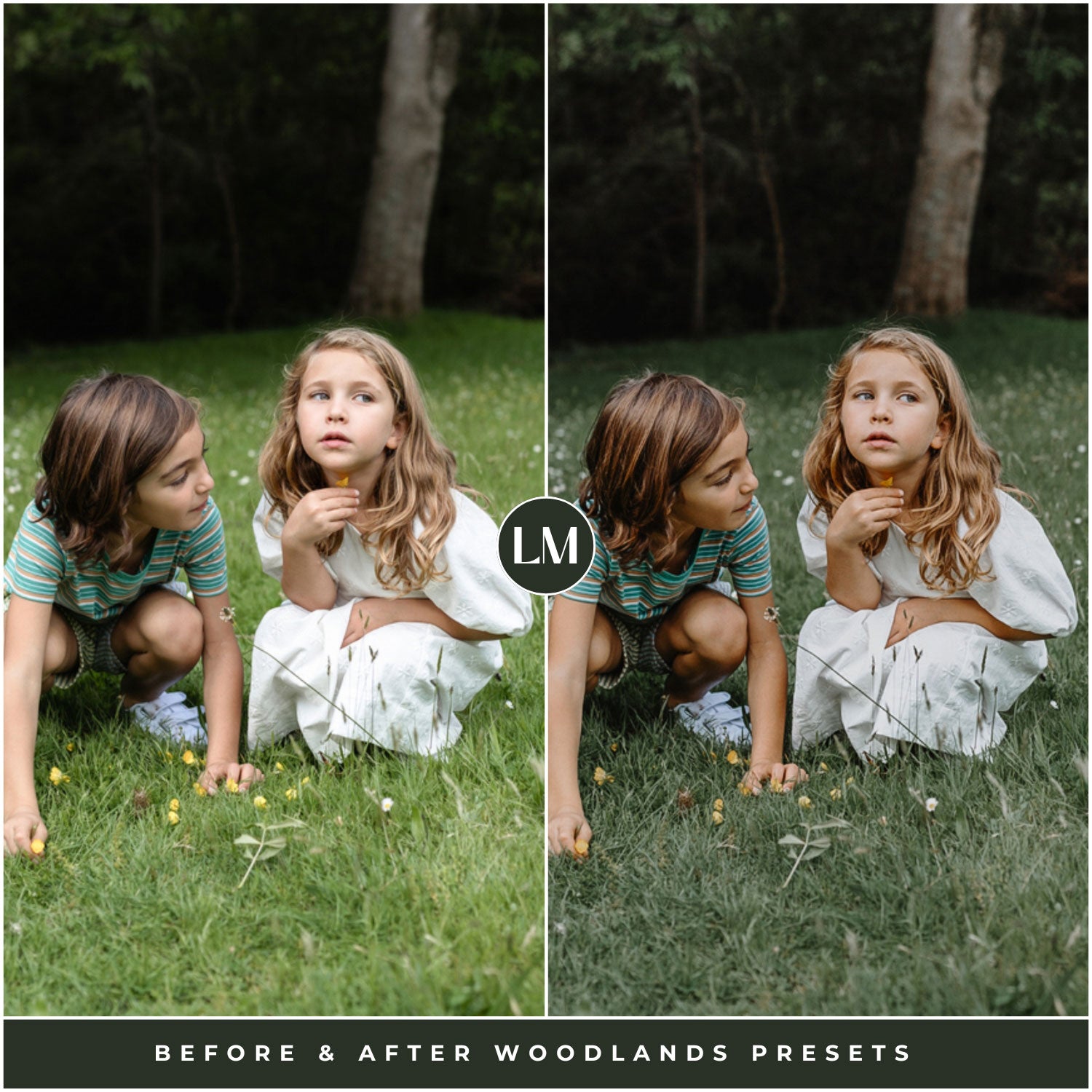 The Moody Woodlands Lightroom Presets For Photographers and Instagram By Lou And Marks Presets