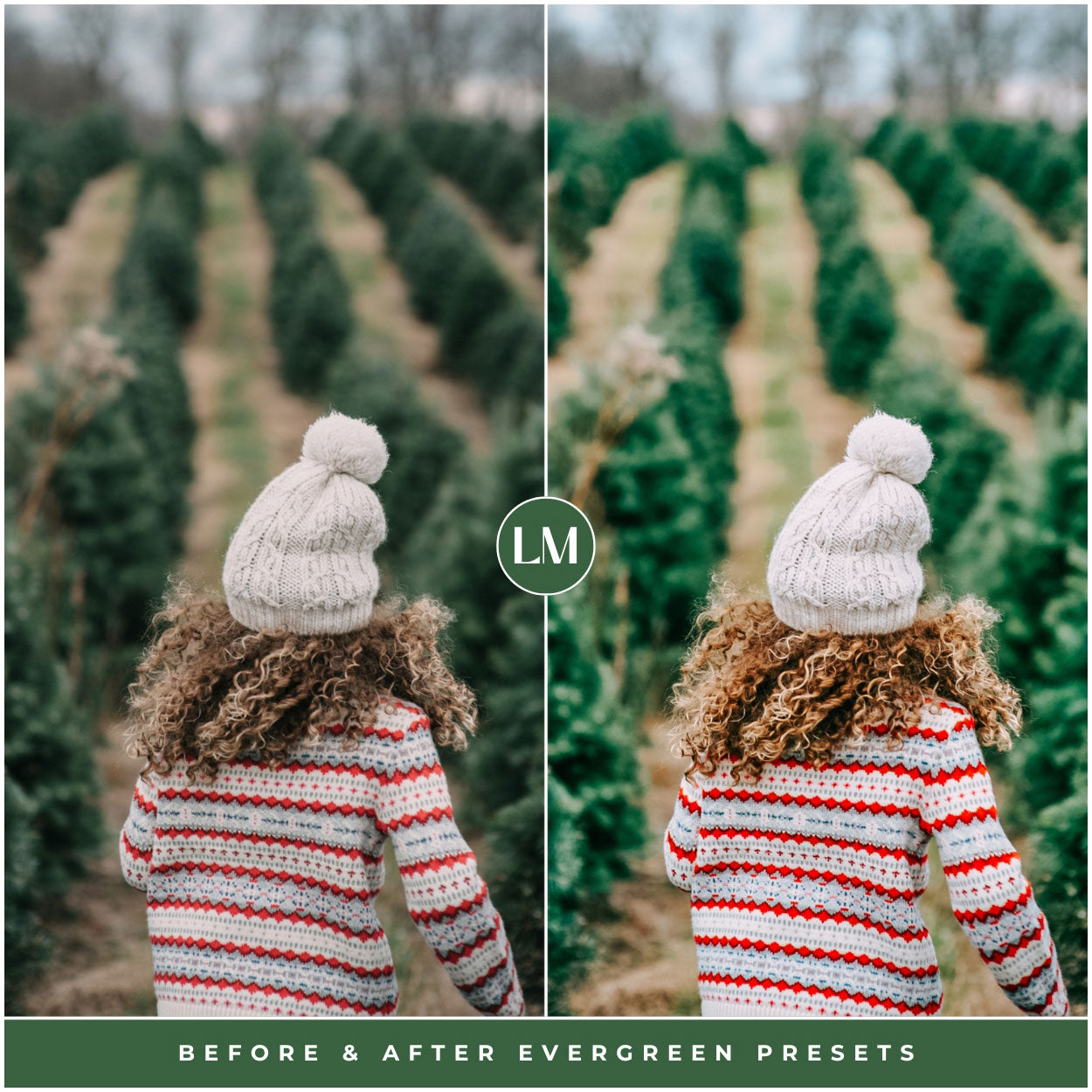 Evergreen Lightroom Presets For Christmas Tree And Winter Photo Editing In Adobe Lightroom By Lou And Marks Presets Desktop