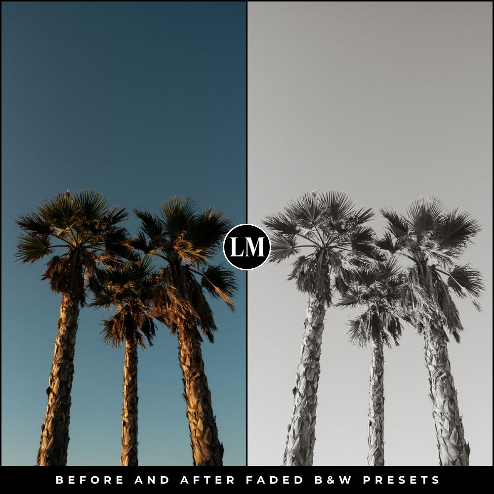 Faded Black and White Lightroom Presets by Lou and Marks Presets