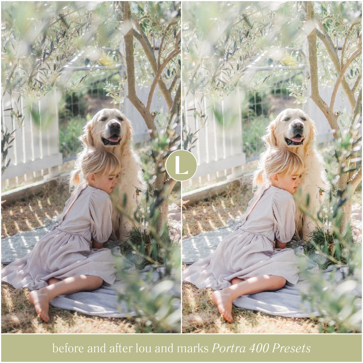 Best Kodak Portra Film 400 Lightroom Presets By Lou And Marks Presets