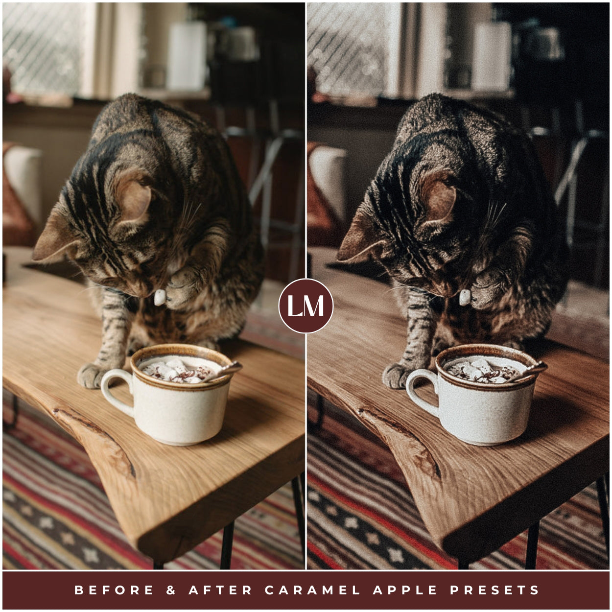 Best Selling Caramel Apple Christmas Lightroom Presets The Best Photo Editing Preset Filters For Christmas And Winter Holiday Photos with Adobe Lightroom Mobile And Desktop For Photographers and Instagram Influencers By Lou And Marks Presets Pets