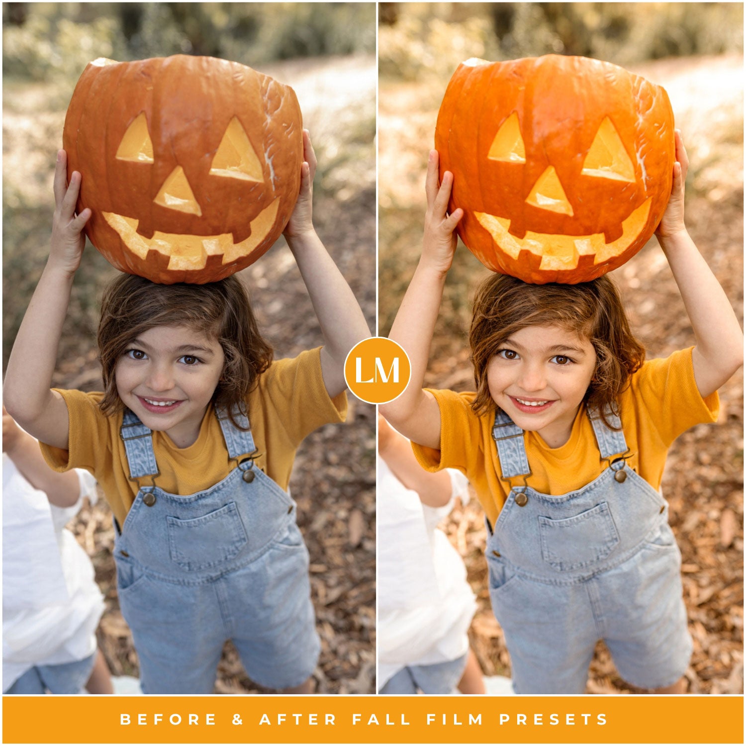 Fall Film Lightroom Presets by Lou and Marks Presets