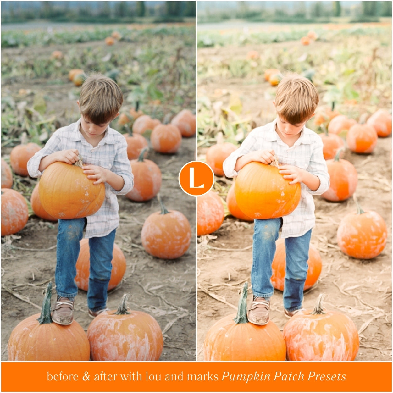 Fall Pumpkin Patch Lightroom Presets By Lou And Marks Presets