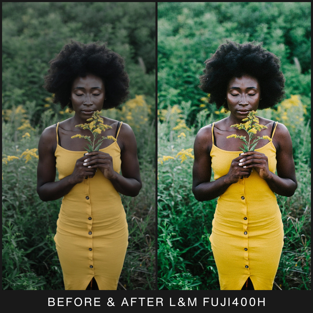  FujiFilm Film Filter Lightroom Presets For Adobe Lightroom Mobile & Desktop By Lou And Marks Presets Mobile