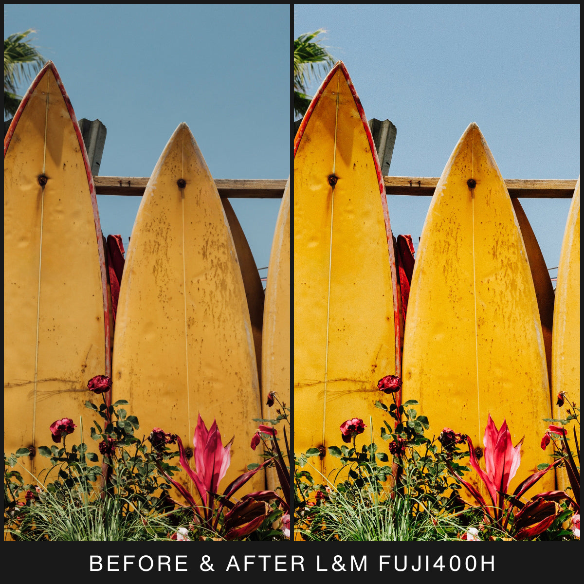  FujiFilm Film Filter Lightroom Presets For Adobe Lightroom Mobile & Desktop By Lou And Marks Presets Fuji