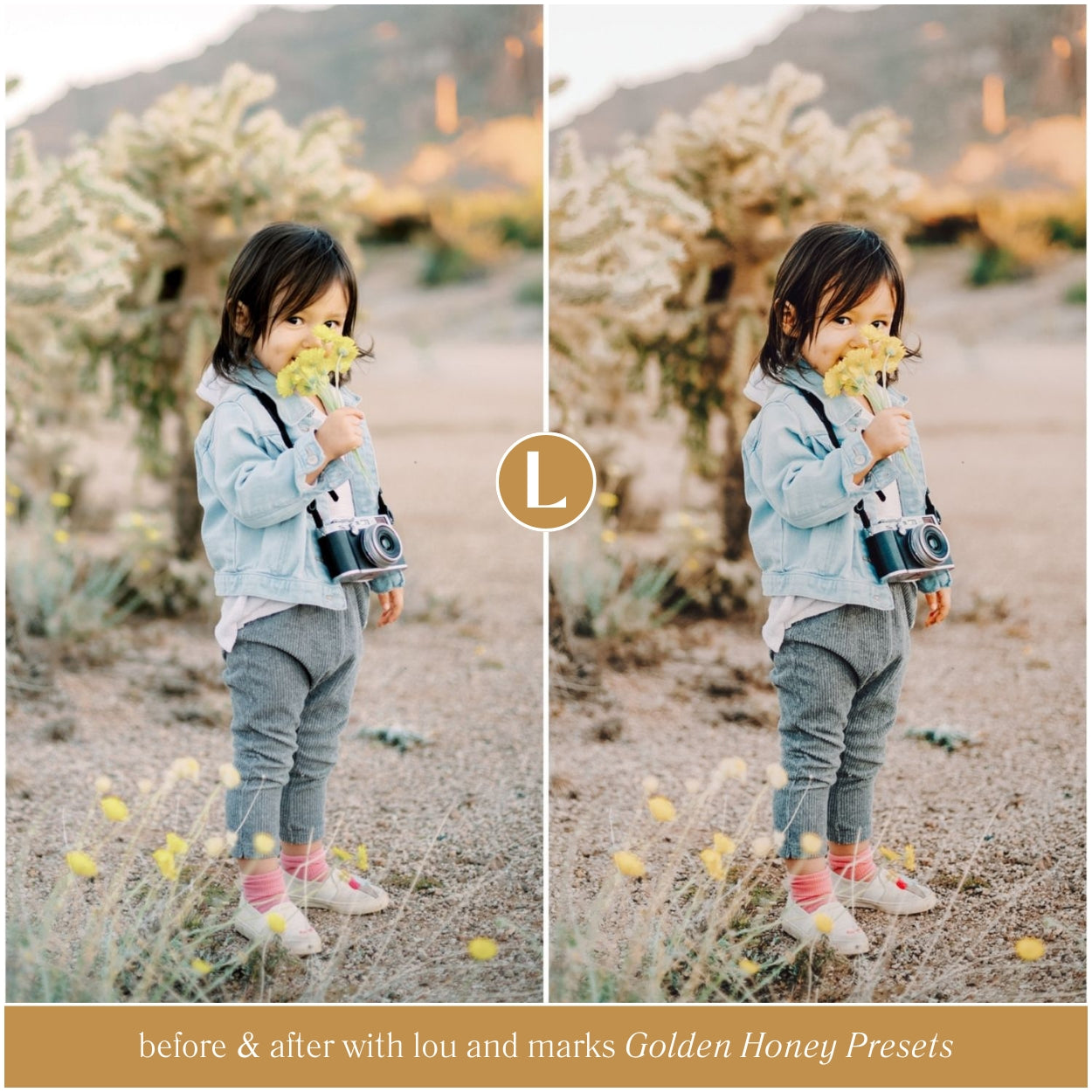 Golden Honey Lightroom Presets by Lou and Marks Presets