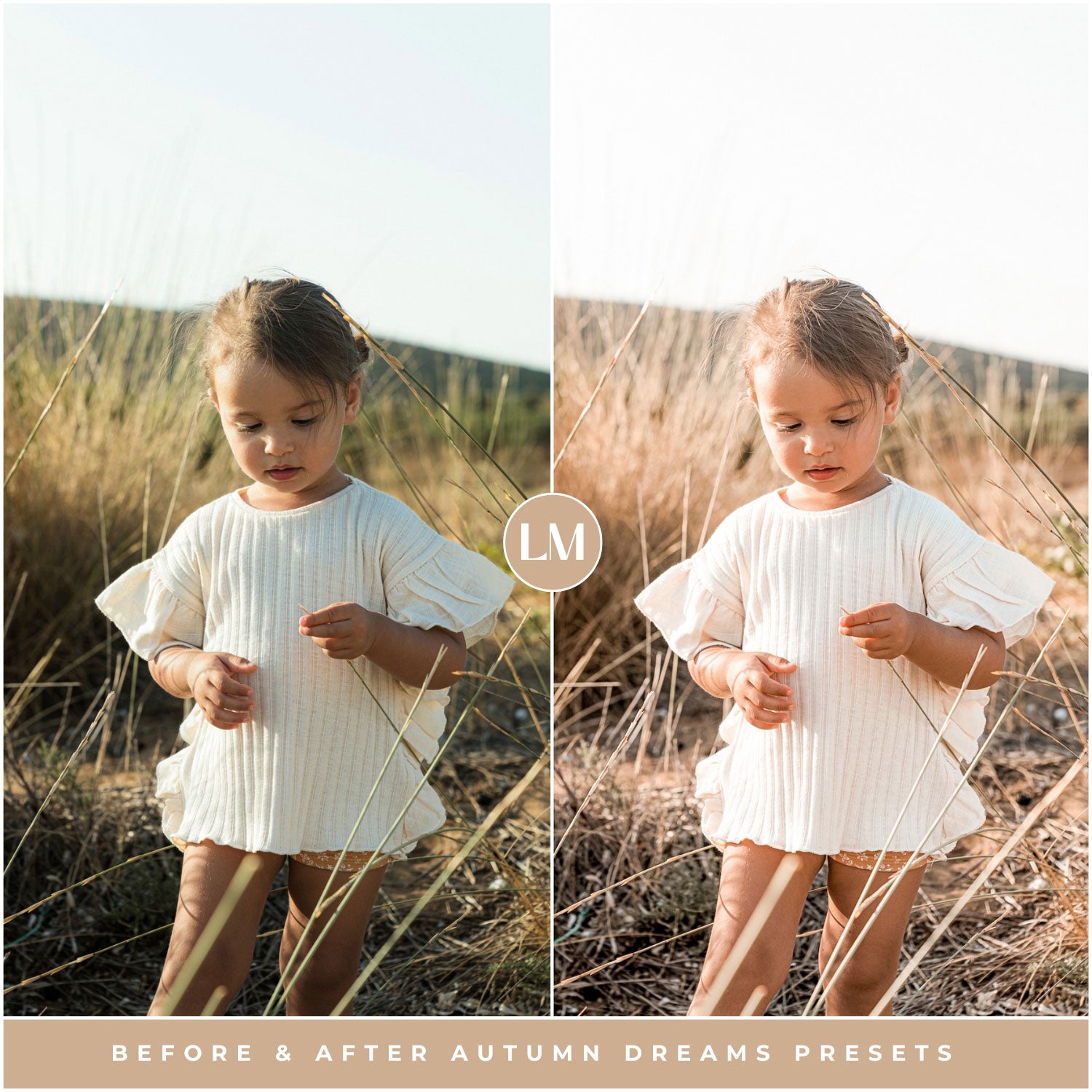 Autumn Dreams Lightroom Presets by Lou and Marks Presets