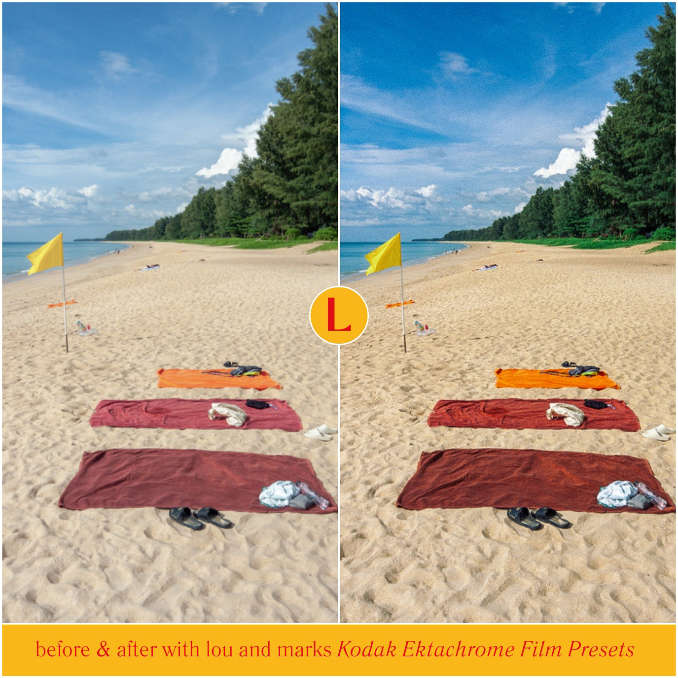 Best Ektachrome Film Lightroom Presets Kodak Film Filters For Adobe Lightroom And Photographer Photo Editing