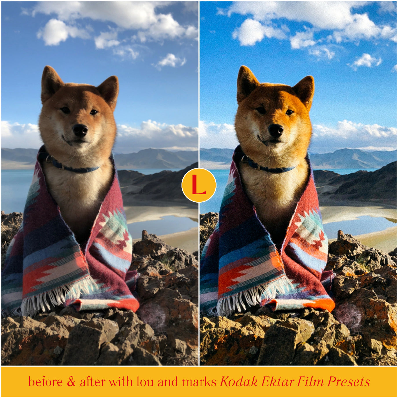 New Kodak Ektar 25 Film Lightroom Presets Kodak Film Filters For Adobe Lightroom And Photographer Photo Editing Pet