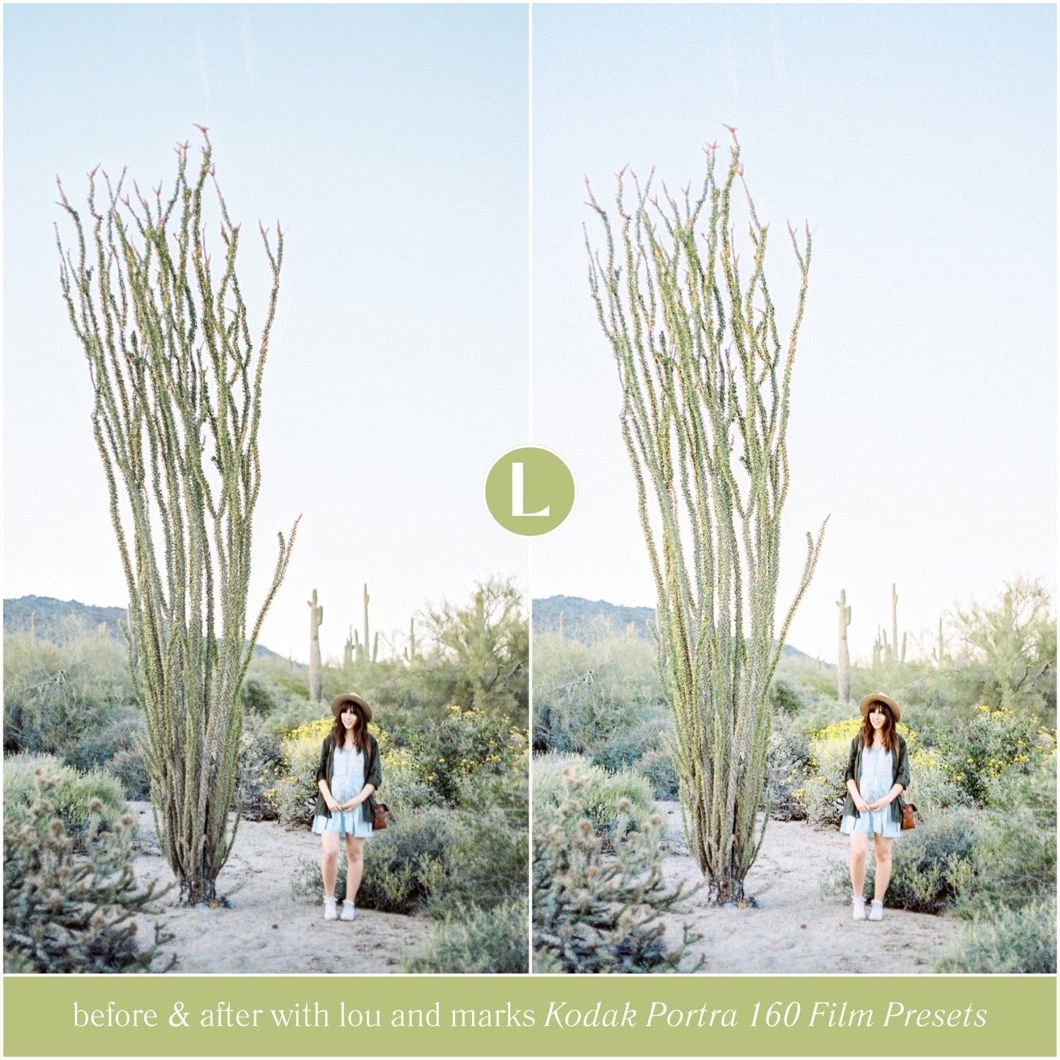 Kodak Portra 160 Film Lightroom Presets by Lou and Marks Presets