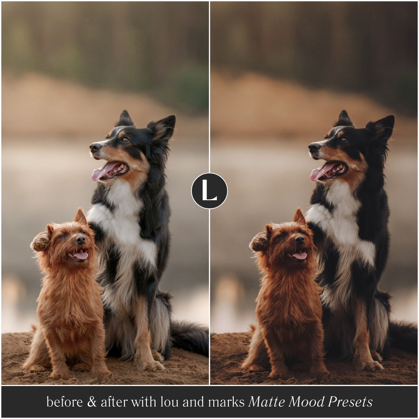 Matte Lou And Marks Presets Lightroom Presets Mobile Presets And Desktop Photography Presets Matte Mood Dark Aesthetic Instagram Filter