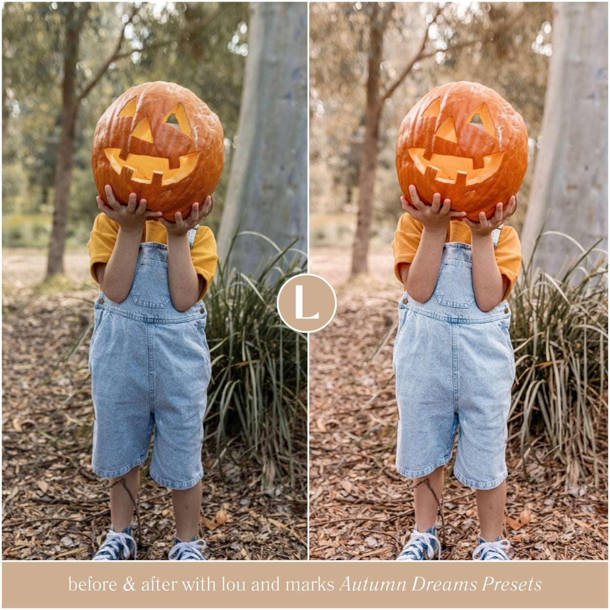 Autumn Dreams Lightroom Presets by Lou and Marks Presets