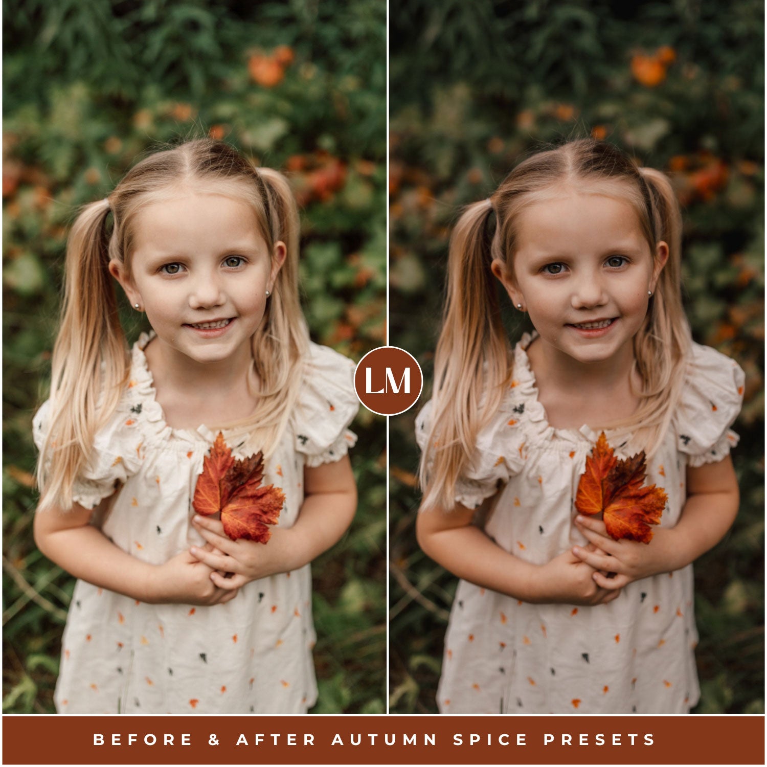 Autumn Spice Lightroom Presets by Lou and Marks Presets