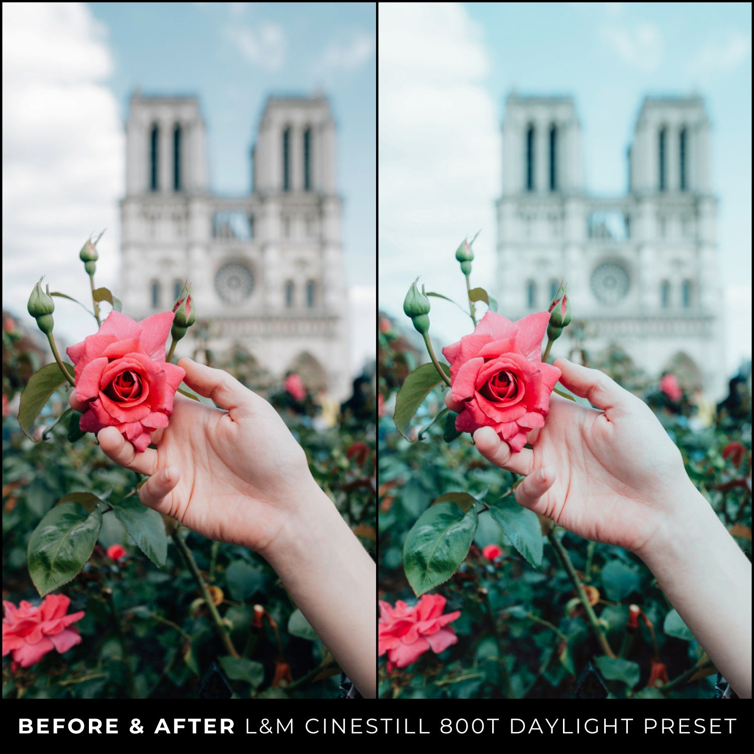 Lifestyle CineStill 800t Film Lightroom Presets The Best Film Photo Editing Preset Filters For An Analog Vintage Retro Film Look With Lightroom Mobile And Desktop For Photographers and Instagram Influencers By Lou And Marks Presets