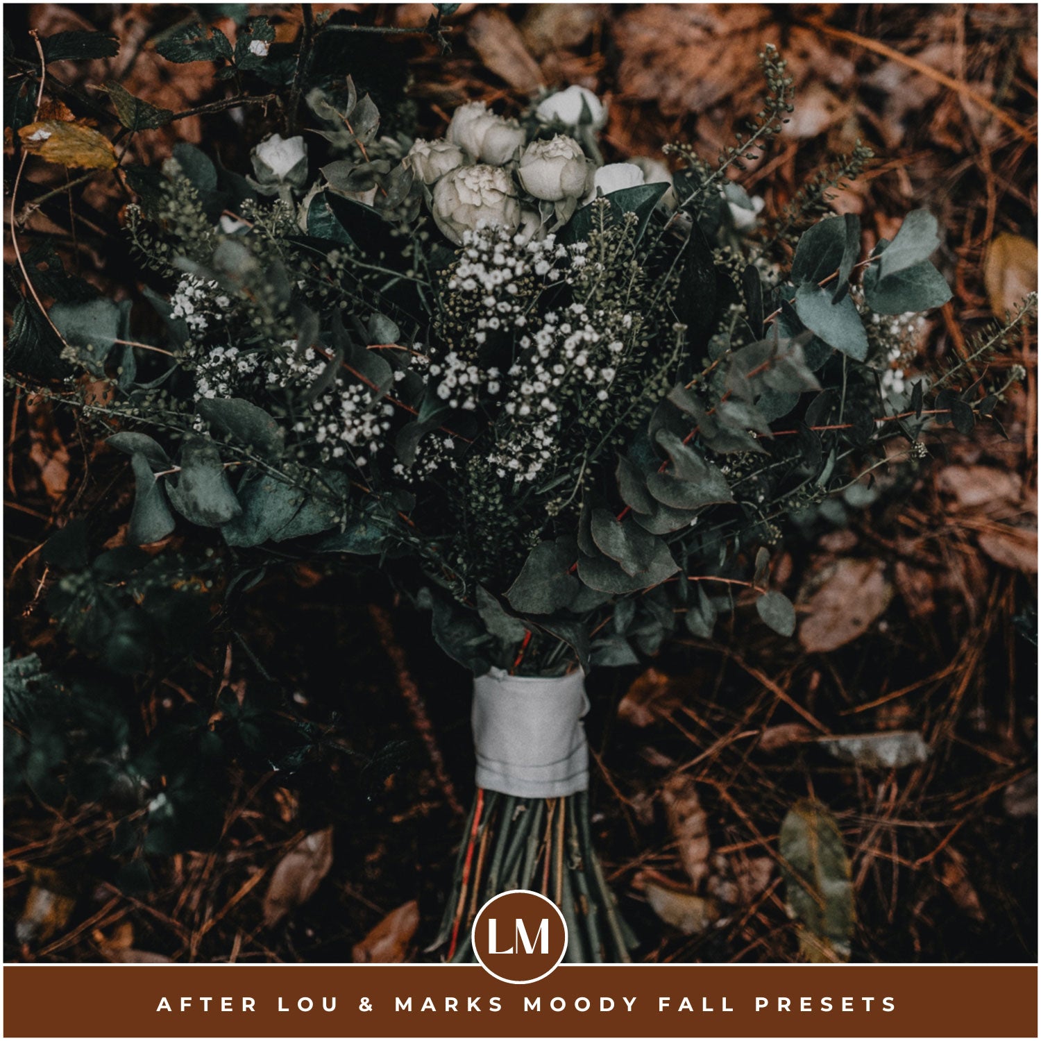 Moody Fall Lightroom Presets by Lou and Marks Presets