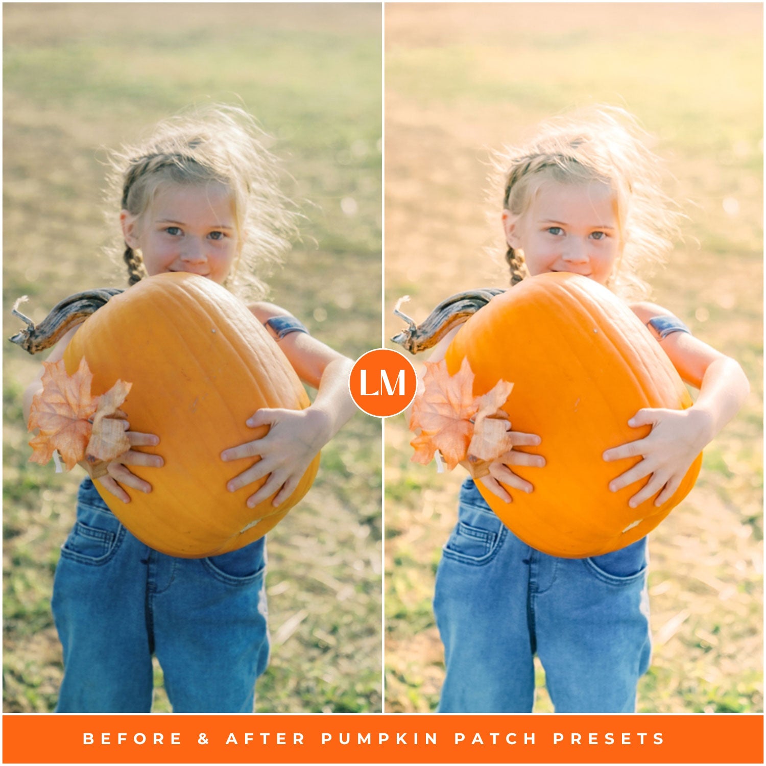 Fall Pumpkin Patch Lightroom Presets By Lou And Marks Presets
