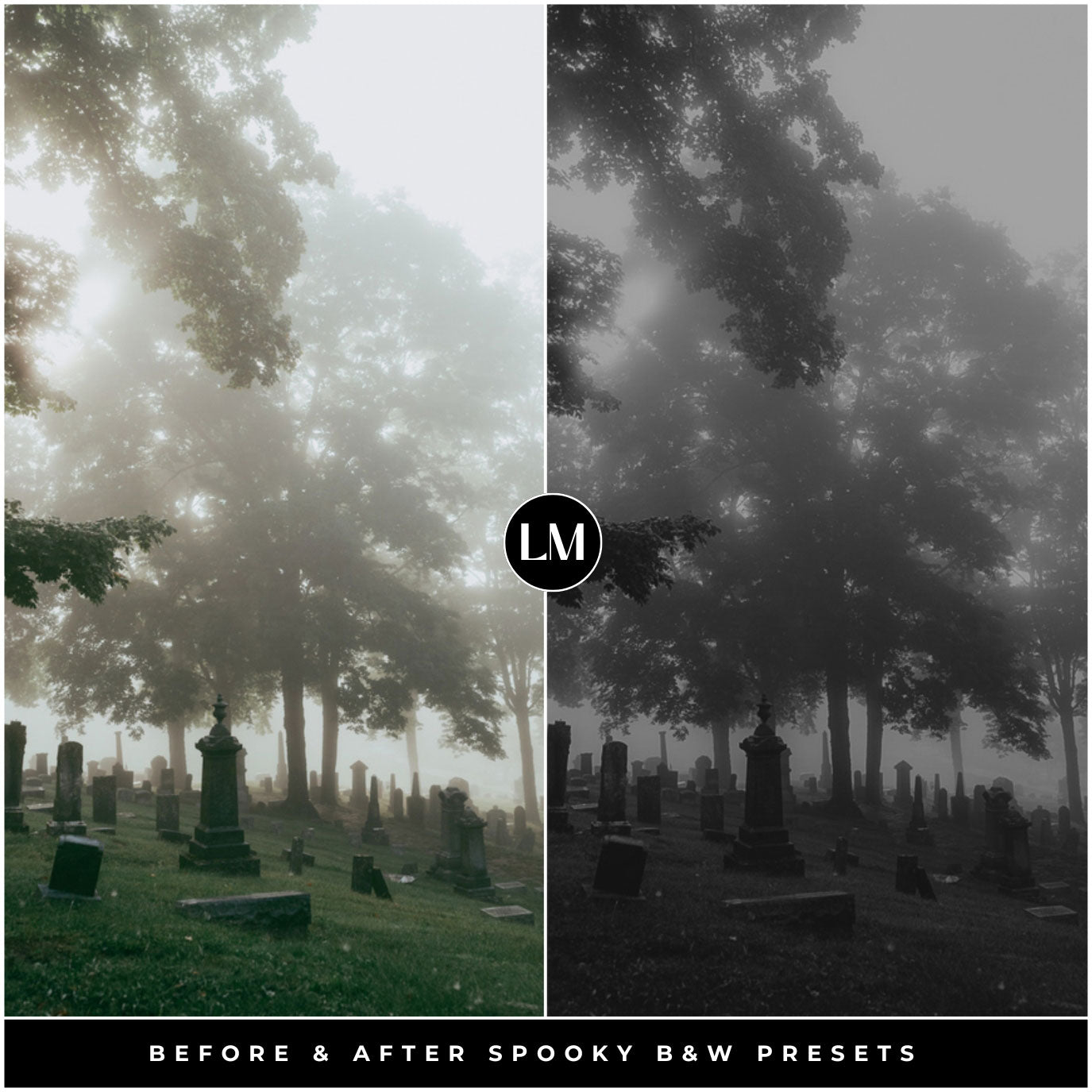 Spooky Black And White Lightroom Presets By Lou And Marks Presets