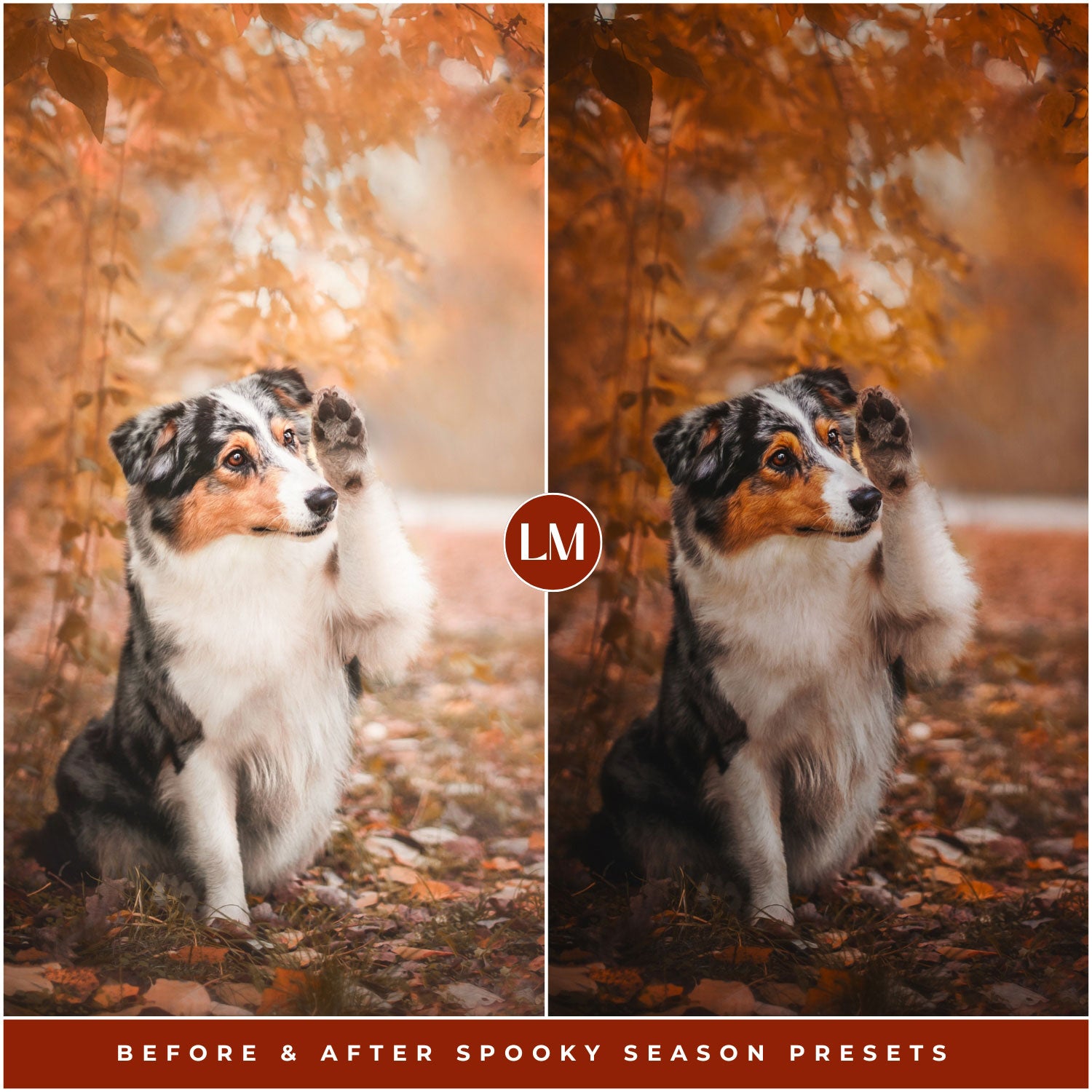 Spooky Season Lightroom Presets by Lou and Marks Presets