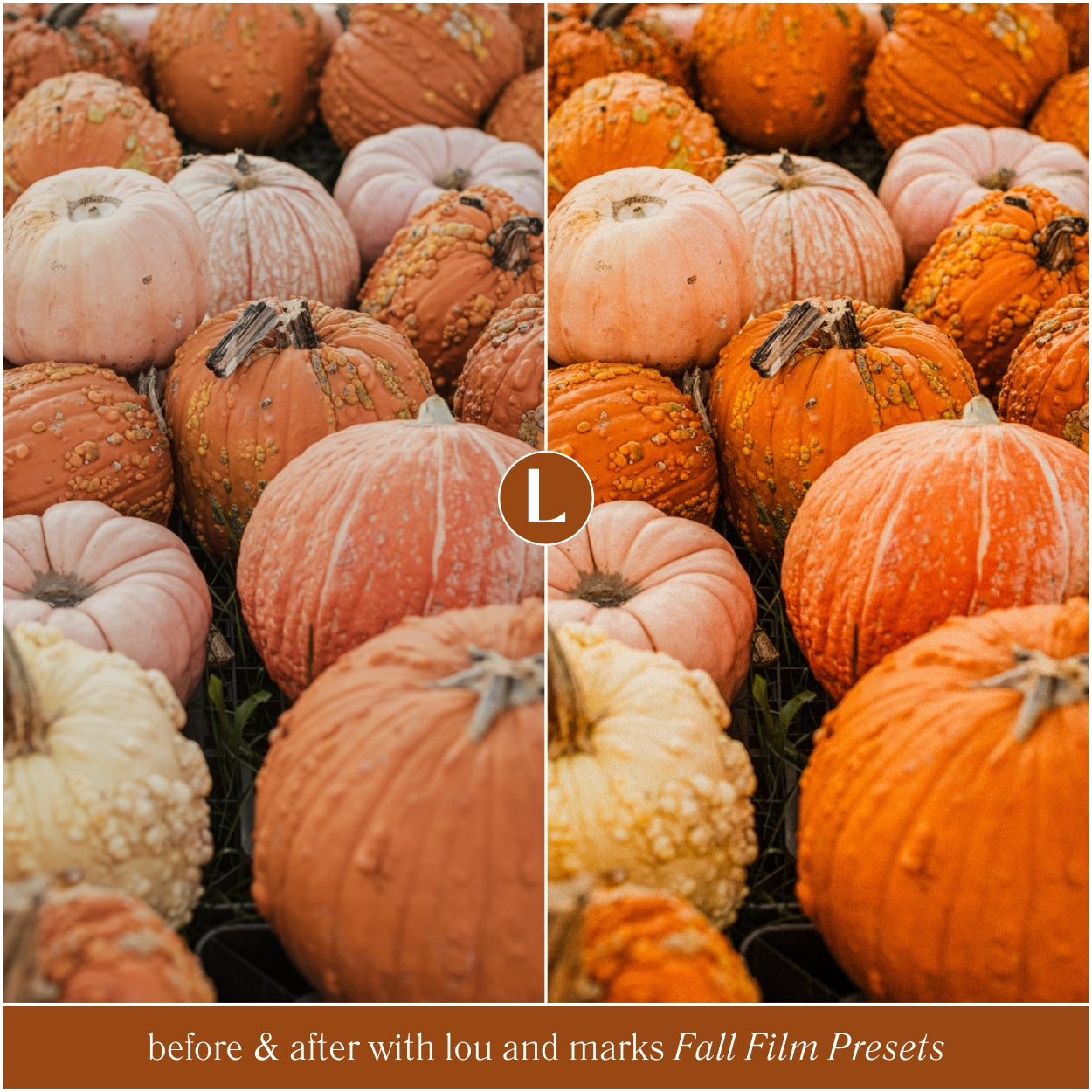 Fall Film Lightroom Presets by Lou and Marks Presets