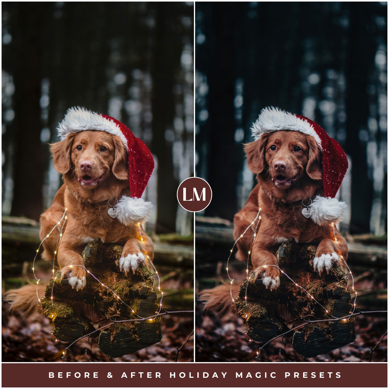 Holiday Magic Lightroom Presets For Best Christmas And Winter Photo Editing In Adobe Lightroom By Lou And Marks Presets