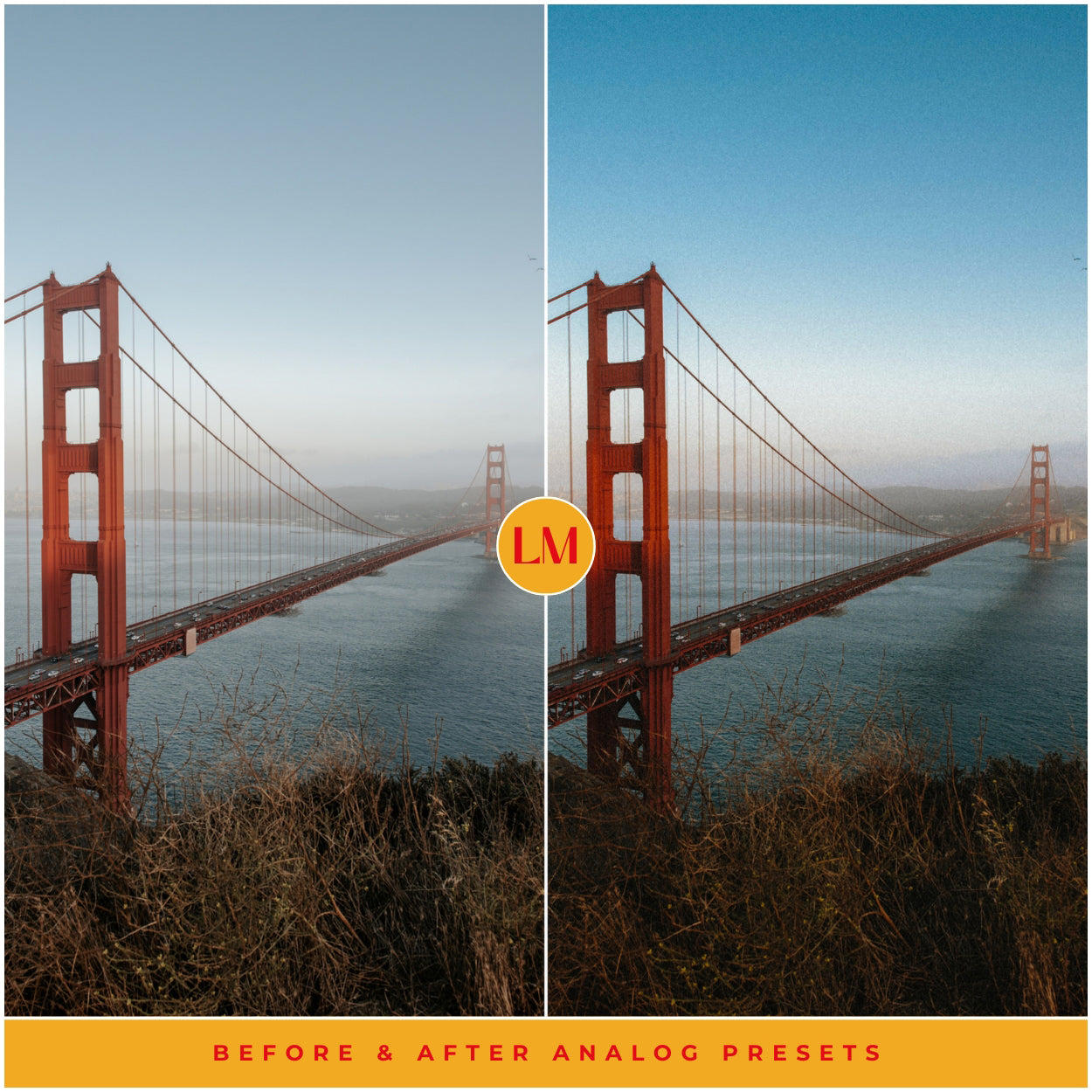 Analog Film Filter For Adobe Lightroom Presets By Lou And Marks Presets Best