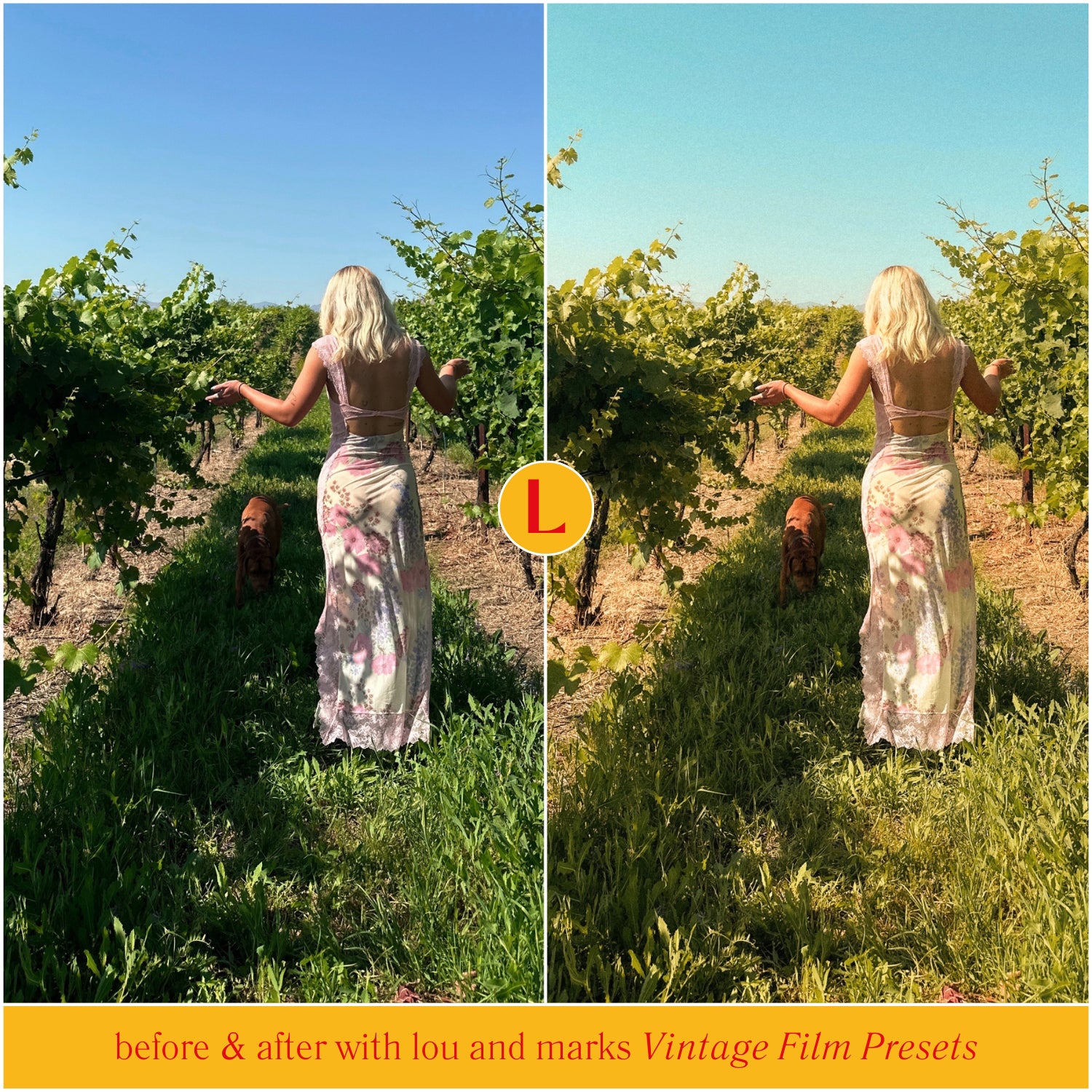 Vintage Film Lightroom Presets And Vintage Film Presets For Photography and Instagram themes by Lou And Marks