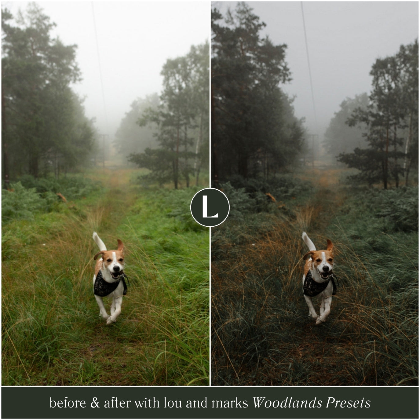 The Moody Woodlands Lightroom Presets For Photographers and Instagram By Lou And Marks Presets