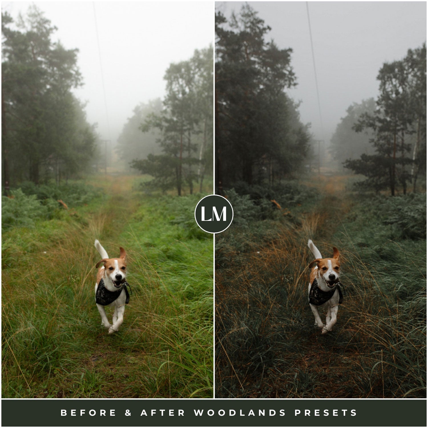 The Moody Woodlands Lightroom Presets For Photographers and Instagram By Lou And Marks Presets