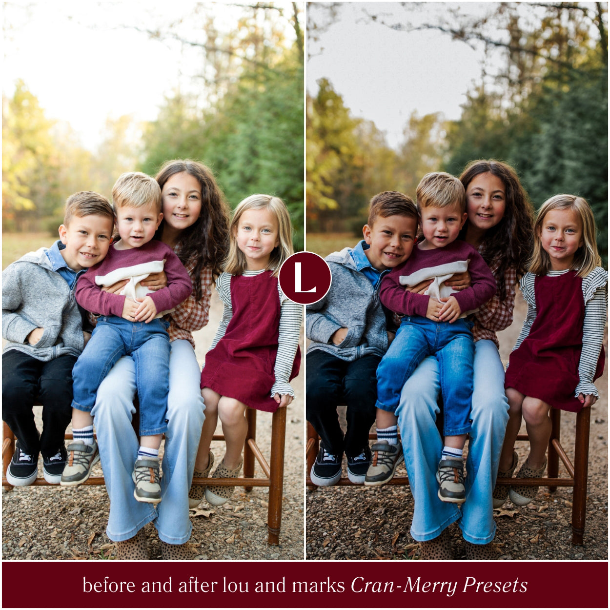 Photographer Cran-Merry Moody Christmas Lightroom Presets By Lou And Marks Presets For Photo Editing