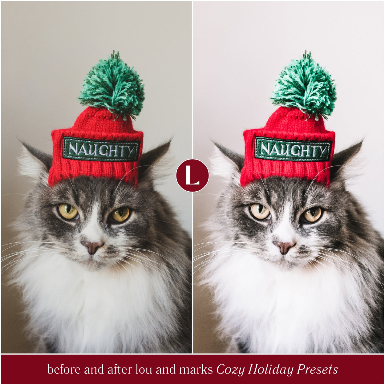 Cozy Holiday Lightroom Presets By Lou And Marks Presets For Christmas photo editing For Pet Photos