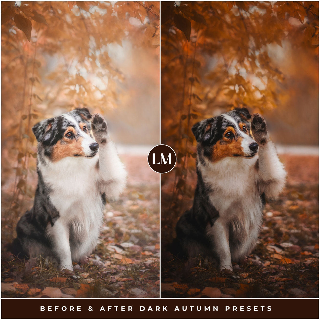 Dark Autumn Lightroom Presets By Lou And Marks Presets