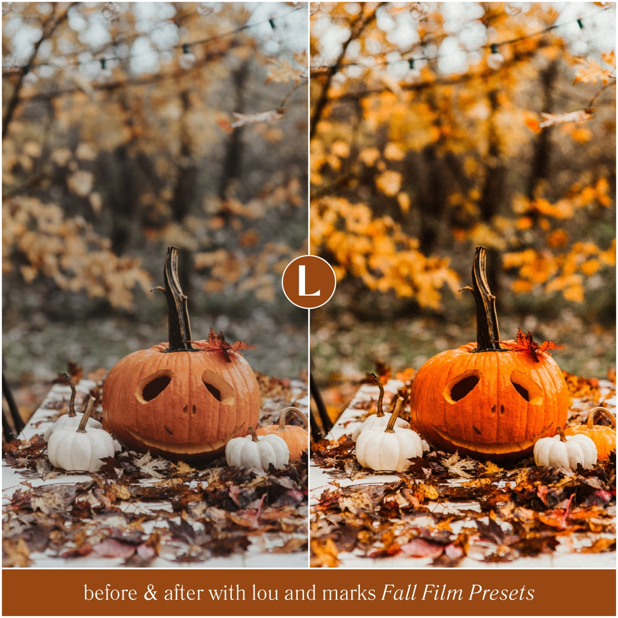 Fall Film Lightroom Presets by Lou and Marks Presets