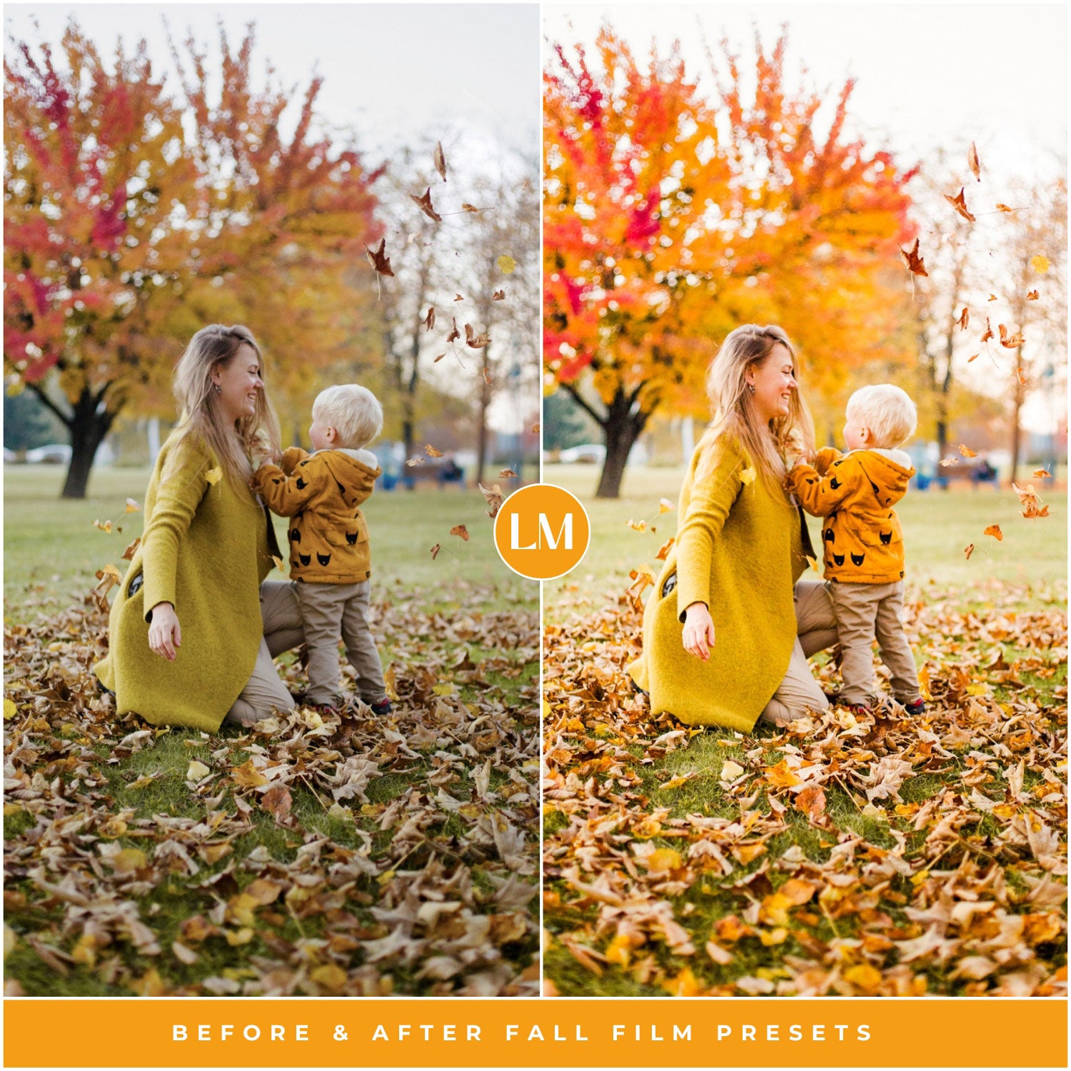 Fall Film Lightroom Presets by Lou and Marks Presets