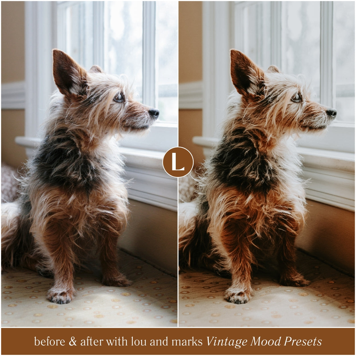 Vintage Mood Lightroom Presets By Lou And Marks Presets