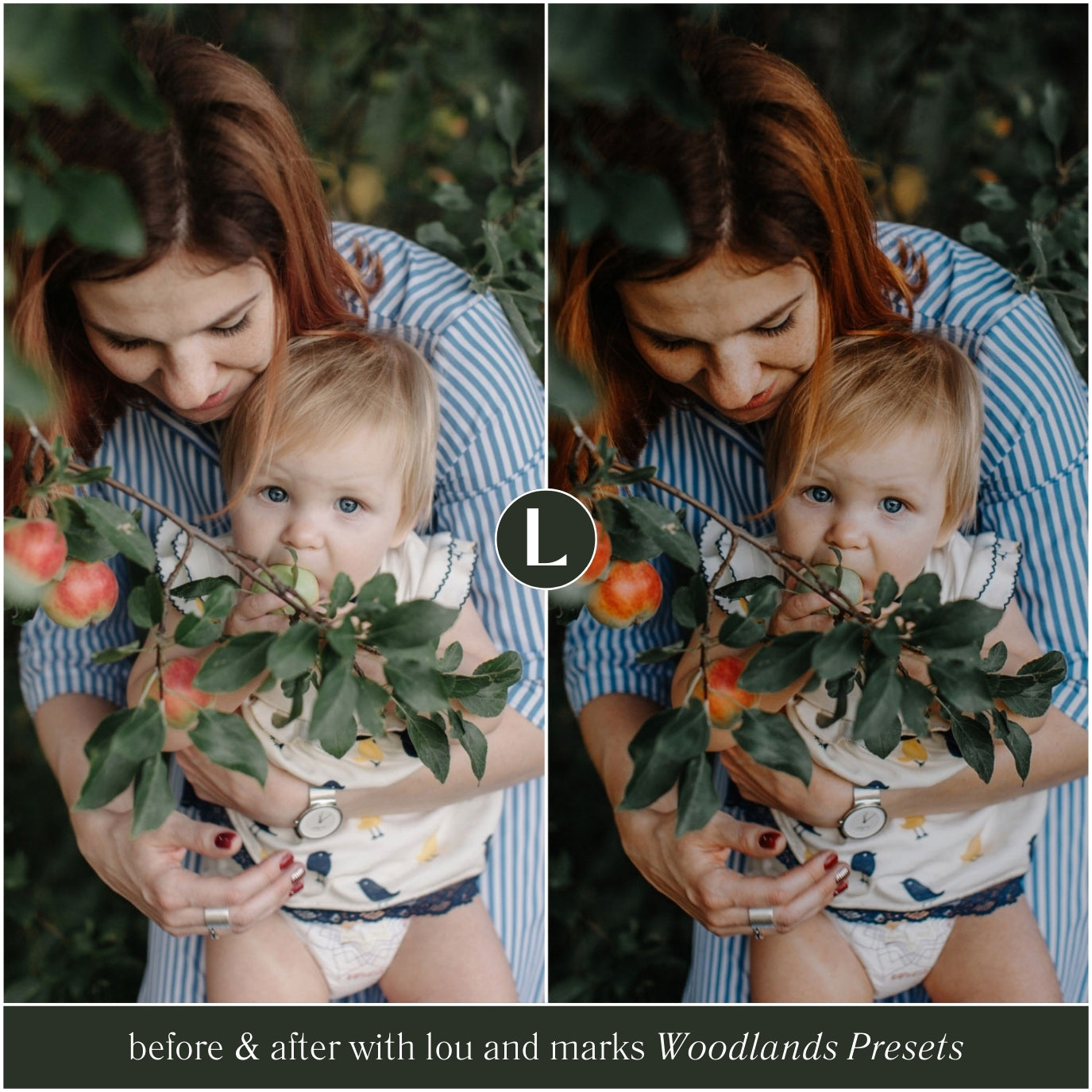 The Moody Woodlands Lightroom Presets For Photographers and Instagram By Lou And Marks Presets