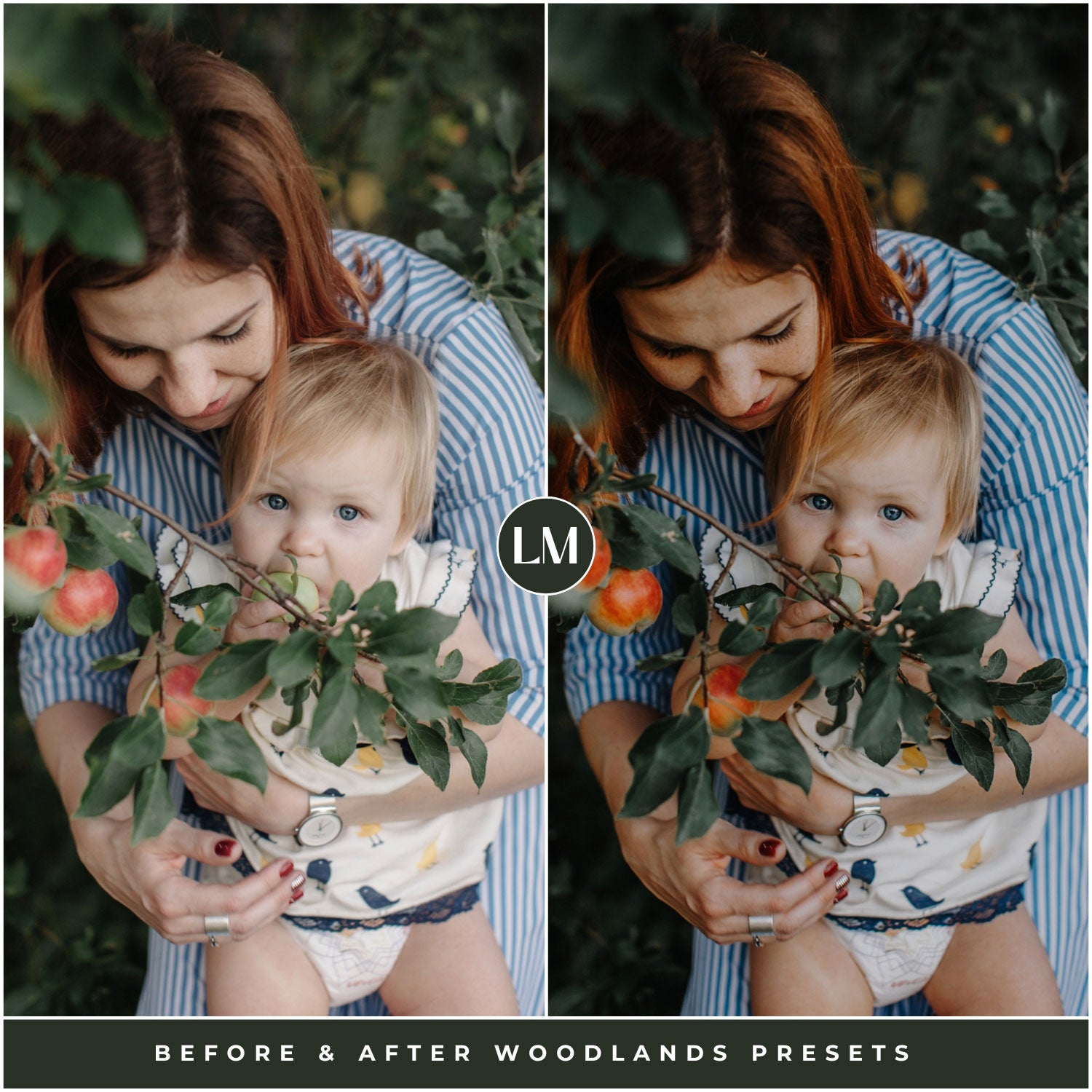 The Moody Woodlands Lightroom Presets For Photographers and Instagram By Lou And Marks Presets