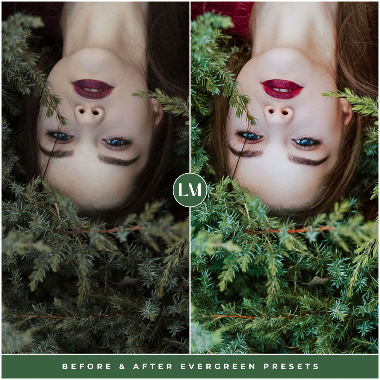 Evergreen Lightroom Presets For Christmas Tree And Winter Photo Editing In Adobe Lightroom By Lou And Marks Presets Influencer