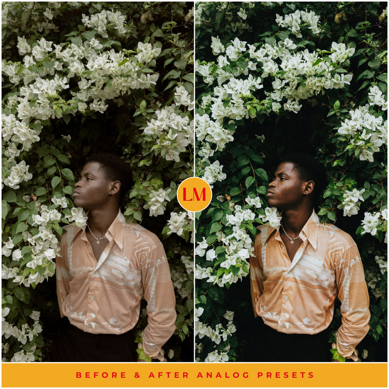 Analog Film Preset For Adobe Lightroom Presets By Lou And Marks Presets Best