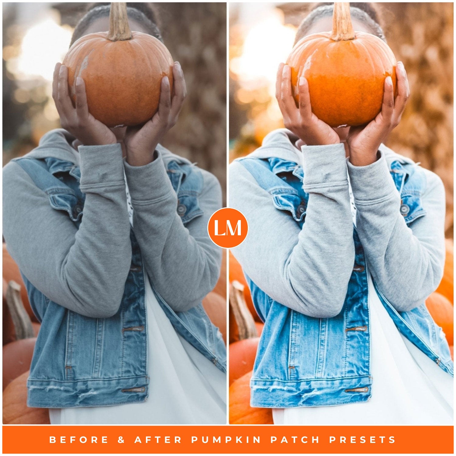 Fall Pumpkin Patch Lightroom Presets By Lou And Marks Presets