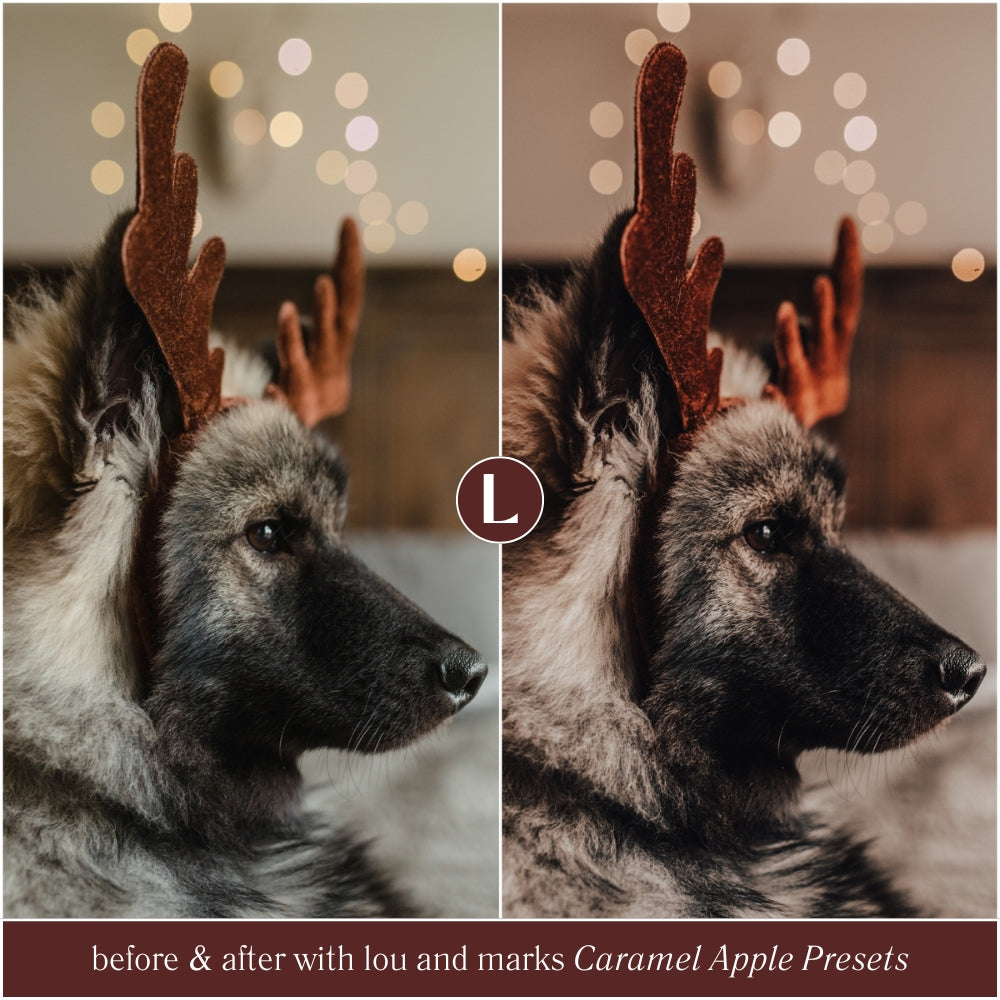 Best Selling Caramel Apple Christmas Lightroom Presets The Best Photo Editing Preset Filters For Christmas And Winter Holiday Photos with Adobe Lightroom Mobile And Desktop For Photographers and Instagram Influencers By Lou And Marks Presets
