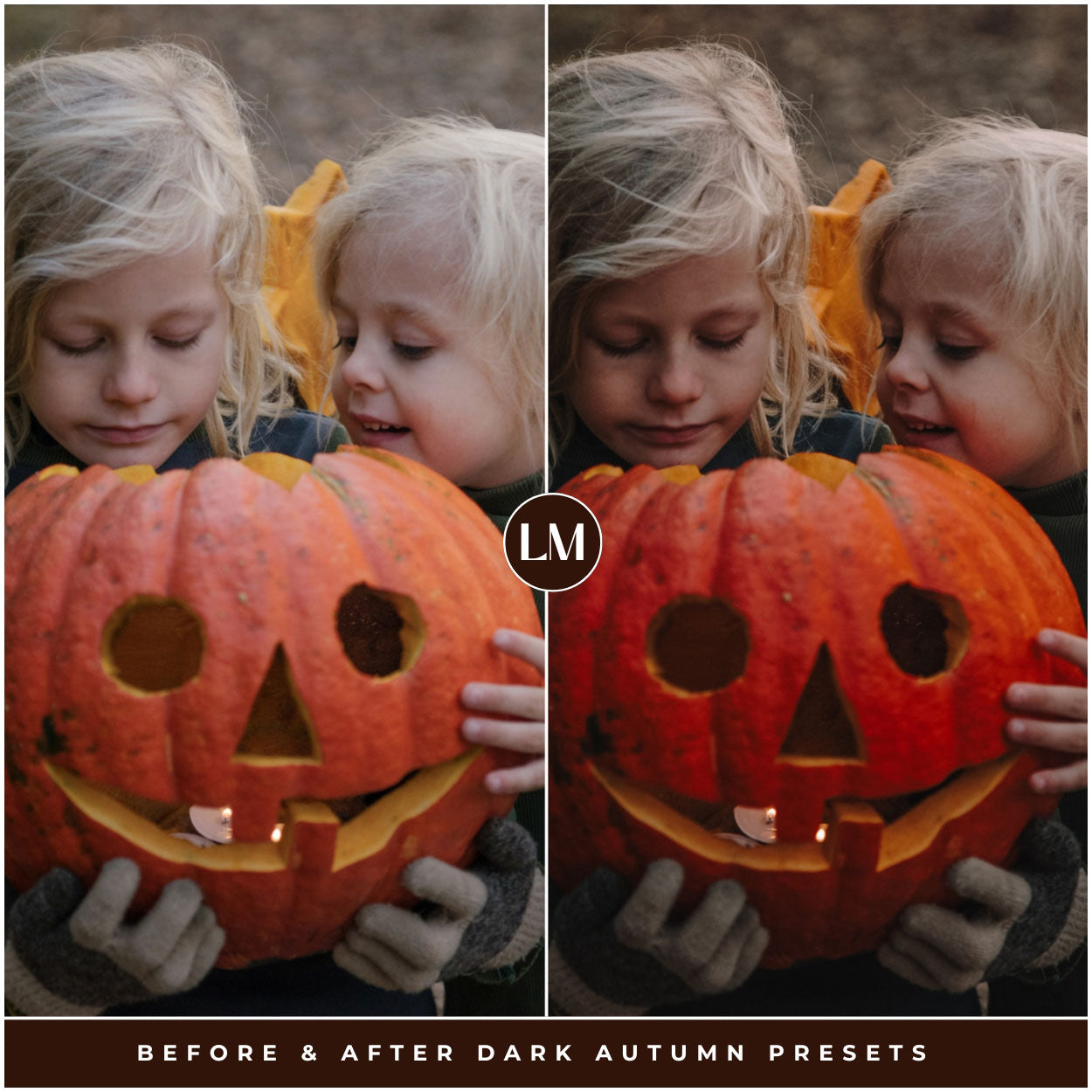 Dark Autumn Lightroom Presets By Lou And Marks Presets
