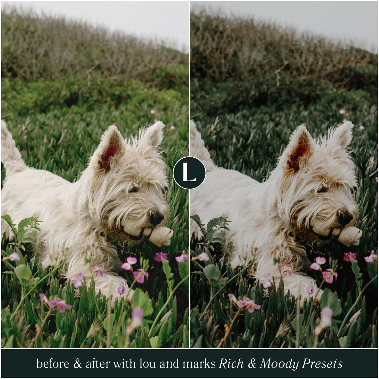 Rich and Moody Lightroom Presets by Lou and Marks Presets